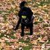 Sandra Grout - Facebook