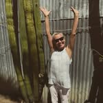 sandra grover - @sandragrover3 - Instagram