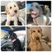 Sandra Grover - Facebook