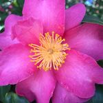 Sandra Grund - @grund_a_go_go - Instagram