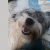 Sandra Guereca425 - @sandyi251 - TikTok