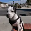 Sandra Guevara - @sandrag03057 - TikTok