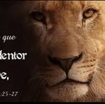 Sandra Guidotti - Facebook