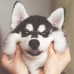 Sandra Gullickson - @gullickson793 - Instagram