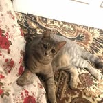 Александра Гусева - @alek.sandraguseva990 - Instagram