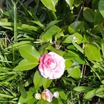 sandra guse - @sandra.g010278 - Instagram