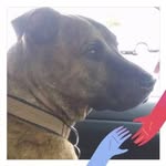 Sandra Gustafson - @sandragustafson48 - Instagram