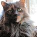 Sandra Gustafson - Facebook