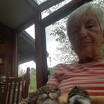 Sandra Gustafson - @sacags218 - Instagram