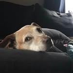 Sandra Gustafson Ebert - @sge2727 - Instagram