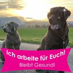 Sandra Guth - @sgutt66 - Instagram