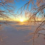 Annette Hermine - @gutmannsandra56 - Instagram