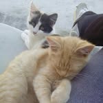 gutmann.sandra - @gutmann.sandra1 - Instagram