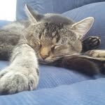 sandra Gutmann - @tuzzi1607 - Instagram