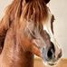 Sandra Haag - Facebook