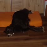 Sandra Hack - @hack2973 - Instagram