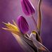 Sandra Hadaway - Facebook
