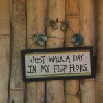 Sandra Haigh - @taylorpartnership - Instagram