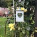 Sandra Haigh - Facebook