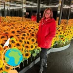 Sandra Haigh - @sandrahaigh1960 - Instagram