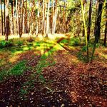 Sandra Hain - @sandra_hain - Instagram