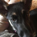 Sandra Hain - @ssandyhain - Instagram