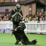 sandrahallam - @pawcrazy1 - Instagram