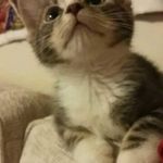 Sandra Owen-Halley - @sarnie2945 - Instagram