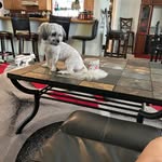 Sandra Hallowell - @sandra._hallowell - Instagram