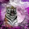 Sandra Halter - @sandrahalter5 - TikTok