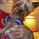 Sandra M. Goff Halterman - @luvscats1600 - Instagram
