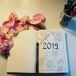 Sandra Hamann - @saha_bujo - Instagram
