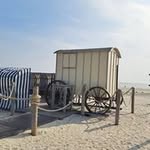 Sandra Hamburger - @hamburger8116 - Instagram