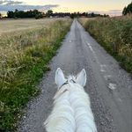 Sandra Hammargren - @hammargren.sandra - Instagram