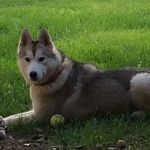 Sandra Courtney O'Hanlon - @sandracourtneyohanlon - Instagram