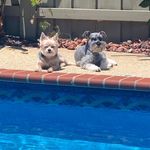 Sandra Vaughan-Hargis - @sandravhargis - Instagram