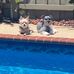 Sandra Vaughan-Hargis - Facebook