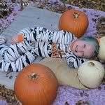 Sandra Harlan - @tokendarkfairy - Instagram
