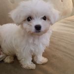 Sandra Harless Fusco Mullins - @sandymullins47 - Instagram