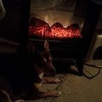 Sandy Harless - @sandy_r_harless - Instagram