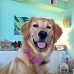 Sandy Shore Harless - @sandyshoreharless - Instagram
