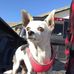 Sandra Harrah - Facebook