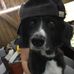 Sandy Martin Hauenstein - Facebook