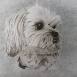 Sandra Haslam - @sandrah.artist - Instagram