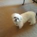 Sandra Hass - Facebook
