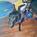 Sandra Haverty - Facebook