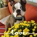 Sandra Havlin - Facebook