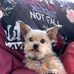 Sandra Hawes - Facebook
