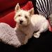 Sandra Hawes - Facebook