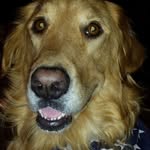 Sandy Hawes - @sandy.hawes.5 - Instagram